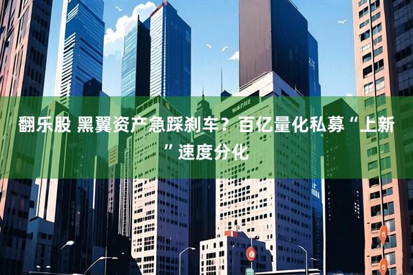 翻乐股 黑翼资产急踩刹车？百亿量化私募“上新”速度分化