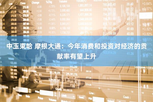 中玉束哈 摩根大通：今年消费和投资对经济的贡献率有望上升